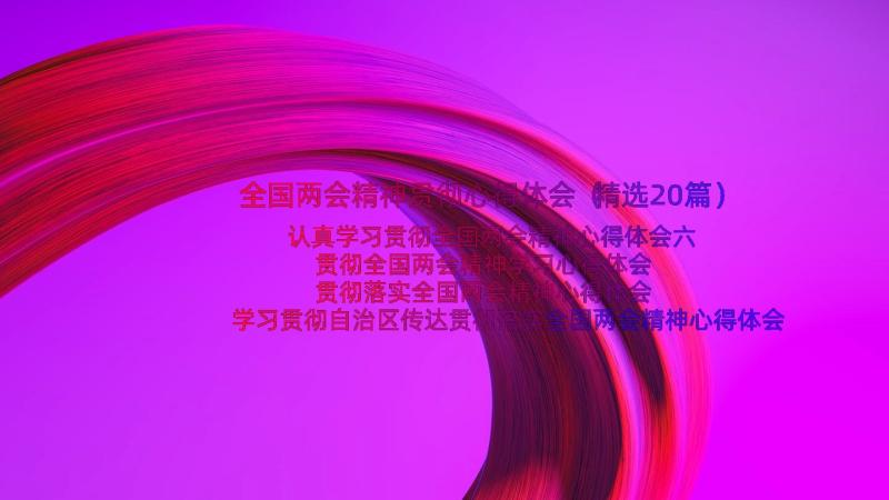 全国两会精神贯彻心得体会（精选20篇）