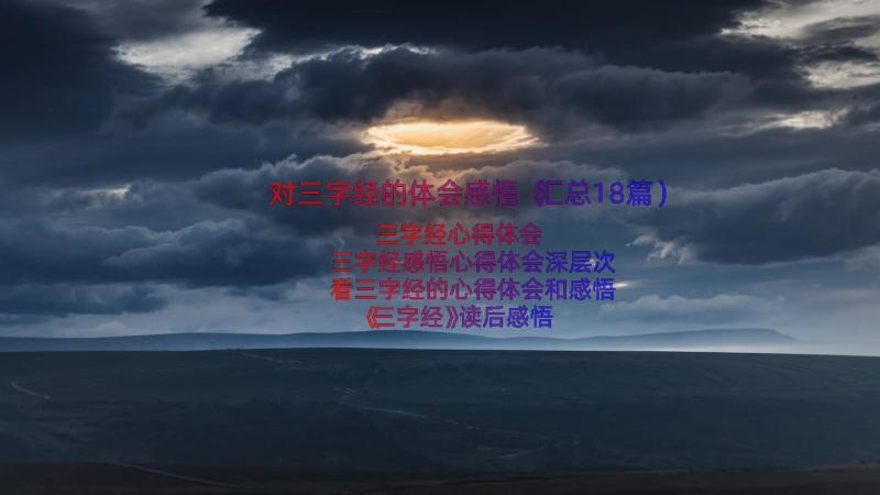 对三字经的体会感悟（汇总18篇）