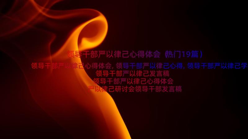 领导干部严以律己心得体会（热门19篇）