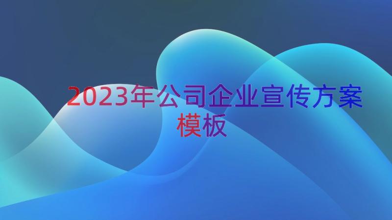 2023年公司企业宣传方案（模板17篇）