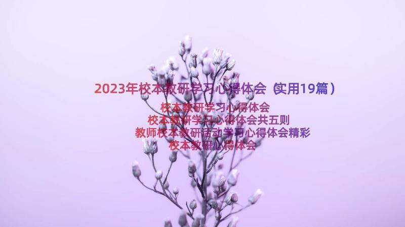 2023年校本教研学习心得体会（实用19篇）