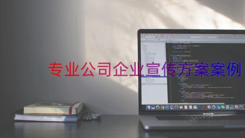 专业公司企业宣传方案（案例14篇）