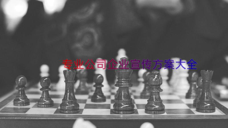 专业公司企业宣传方案大全（15篇）