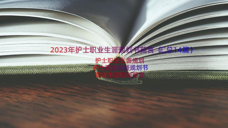 2023年护士职业生涯规划书前言（汇总14篇）