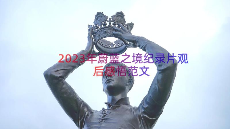 2023年蔚蓝之境纪录片观后感悟范文（18篇）