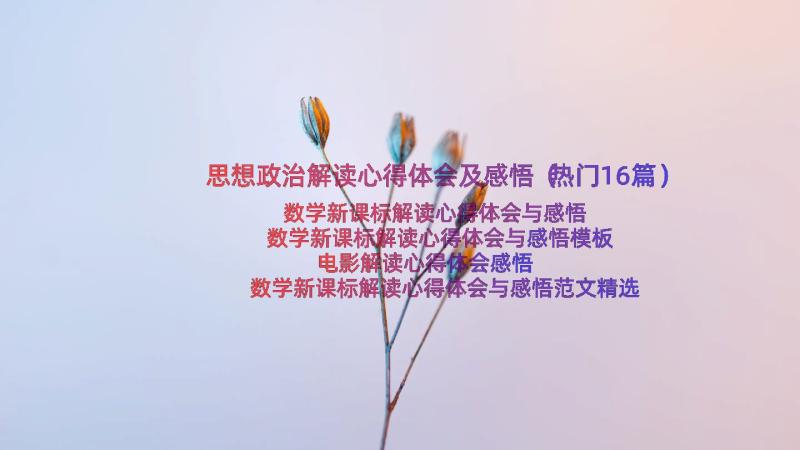 思想政治解读心得体会及感悟（热门16篇）