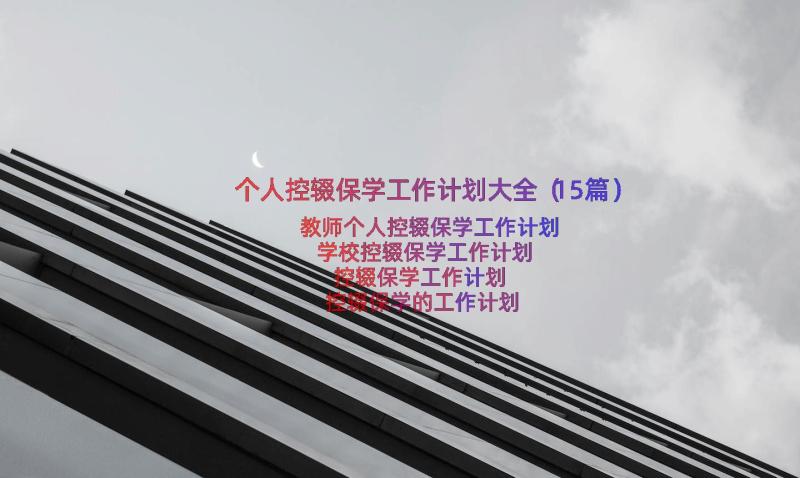 个人控辍保学工作计划大全（15篇）