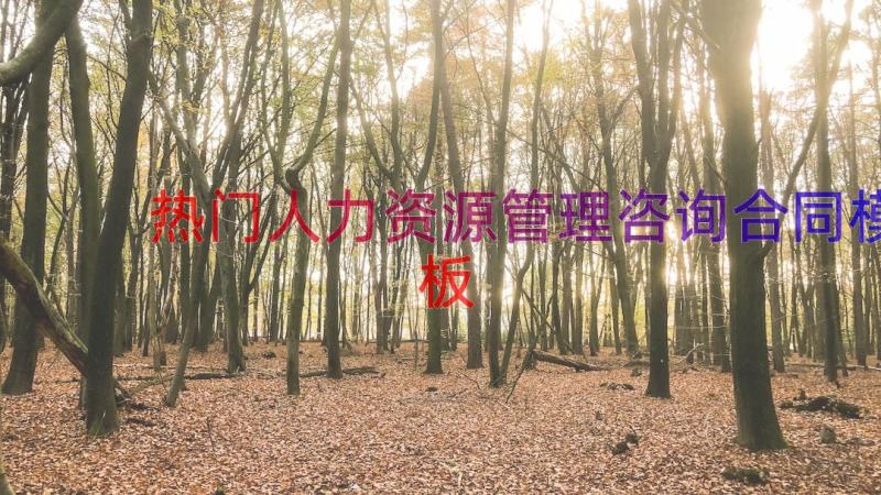 热门人力资源管理咨询合同（模板14篇）