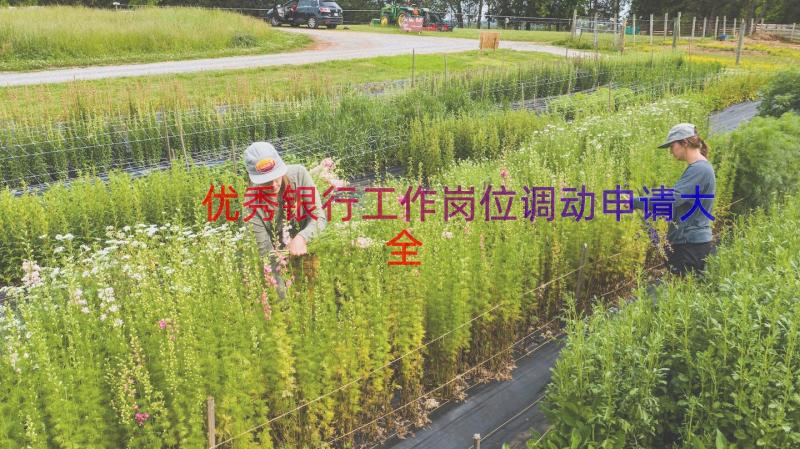 优秀银行工作岗位调动申请大全（18篇）