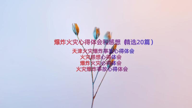 爆炸火灾心得体会和感想（精选20篇）