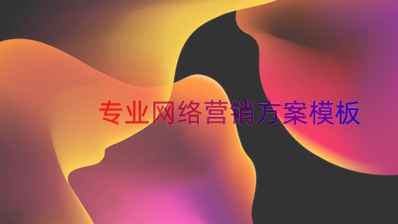 专业网络营销方案模板