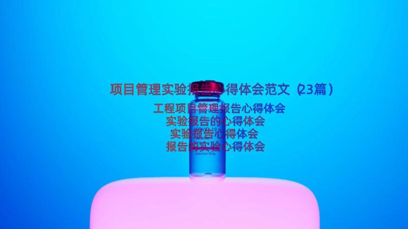 项目管理实验报告心得体会范文（23篇）