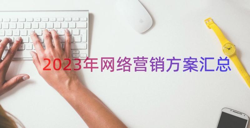 2023年网络营销方案（汇总20篇）