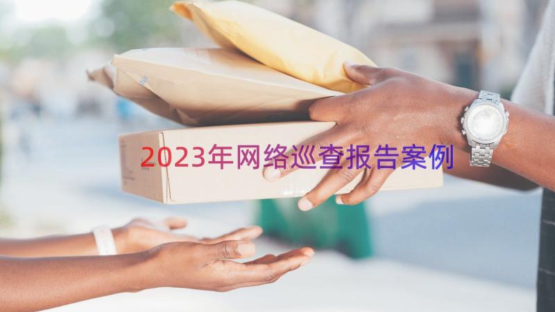 2023年网络巡查报告（案例18篇）