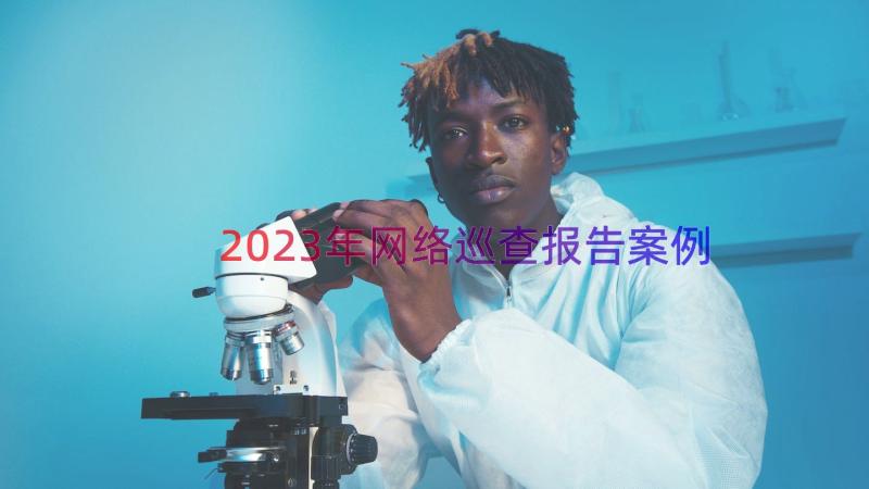 2023年网络巡查报告（案例16篇）