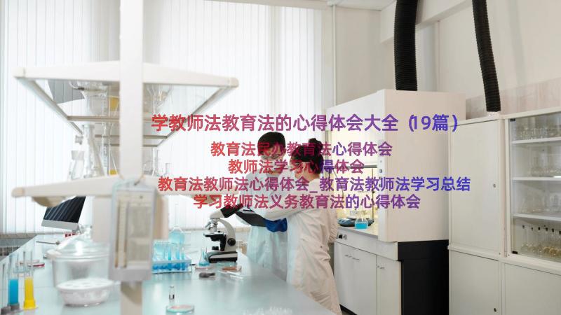 学教师法教育法的心得体会大全（19篇）