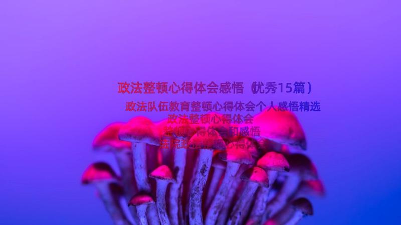 政法整顿心得体会感悟（优秀15篇）