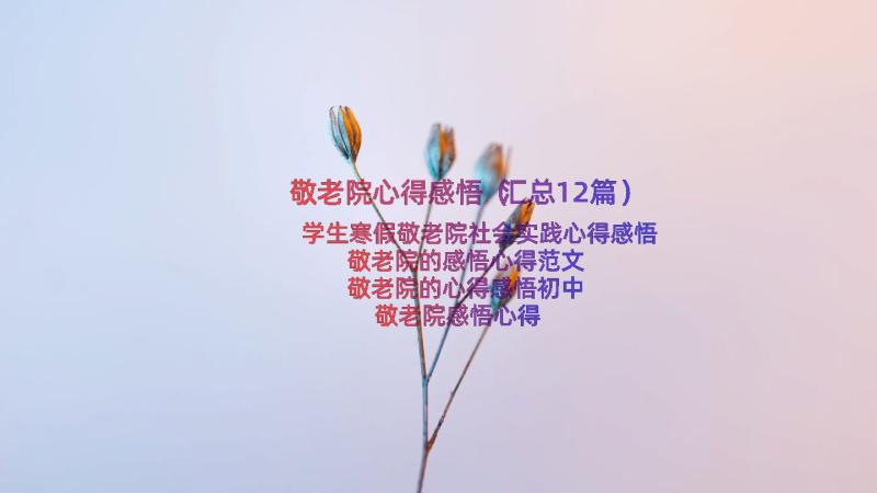 敬老院心得感悟（汇总12篇）