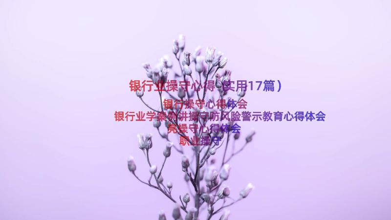 银行业操守心得（实用17篇）