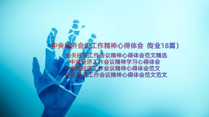 中央经济会议工作精神心得体会（专业18篇）