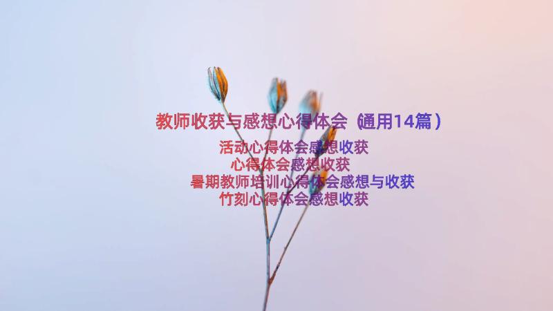 教师收获与感想心得体会（通用14篇）