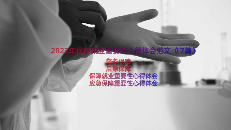 2023年保障就业重要性心得体会范文（17篇）