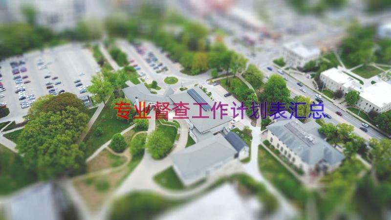 专业督查工作计划表（汇总18篇）