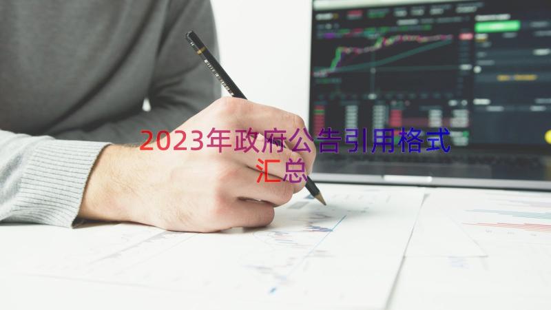 2023年政府公告引用格式（汇总17篇）