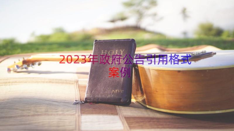 2023年政府公告引用格式（案例13篇）