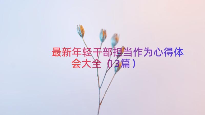 最新年轻干部担当作为心得体会大全（13篇）