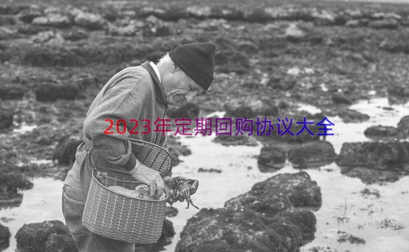 2023年定期回购协议大全（17篇）