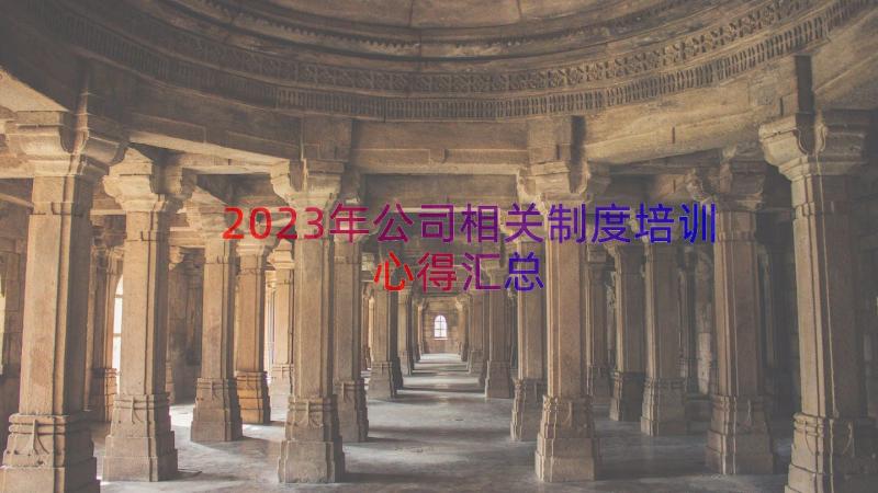 2023年公司相关制度培训心得（汇总14篇）