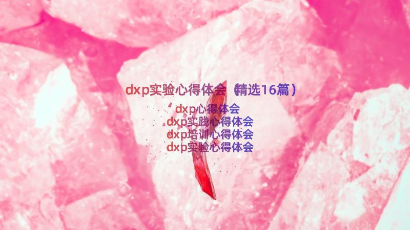 dxp实验心得体会（精选16篇）