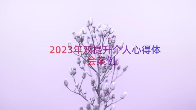 2023年双提升个人心得体会（案例14篇）