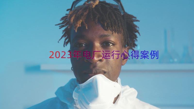 2023年电厂运行心得（案例15篇）