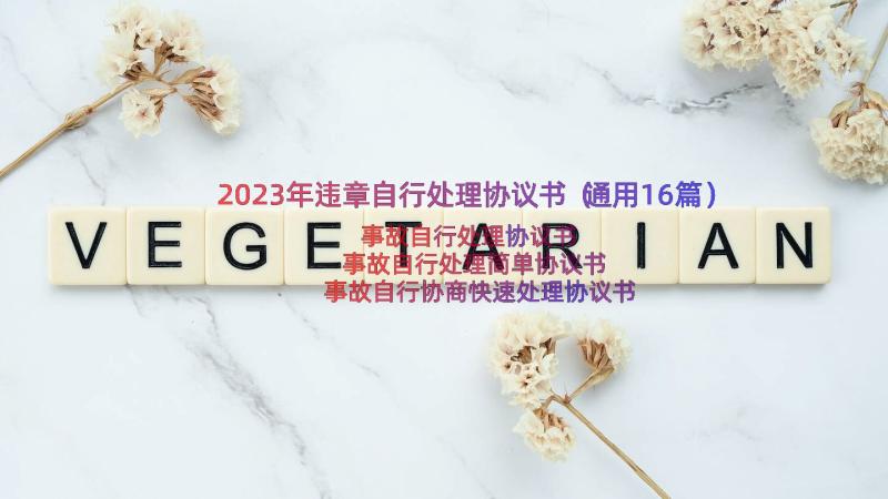 2023年违章自行处理协议书（通用16篇）