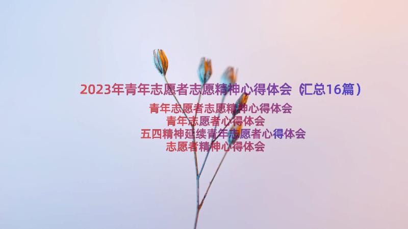 2023年青年志愿者志愿精神心得体会（汇总16篇）