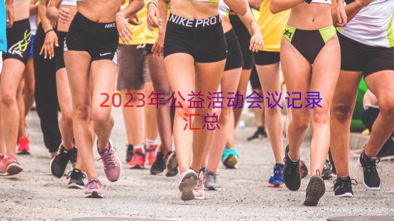 2023年公益活动会议记录（汇总15篇）