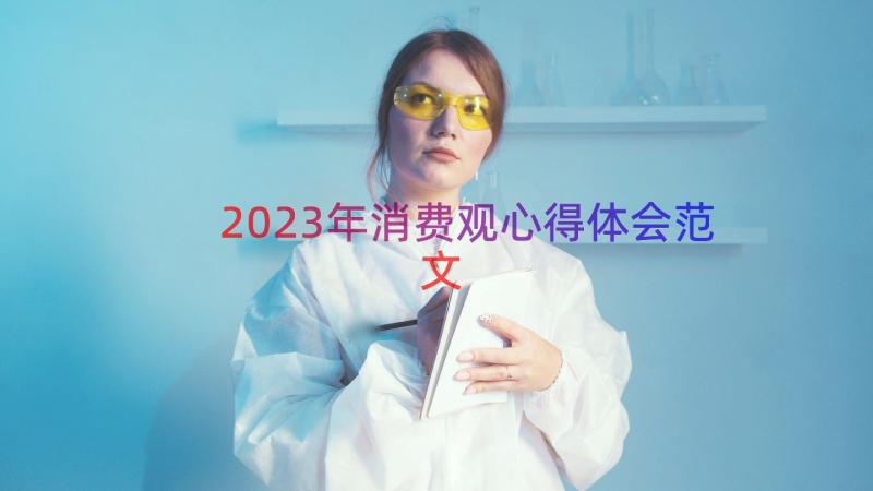 2023年消费观心得体会范文