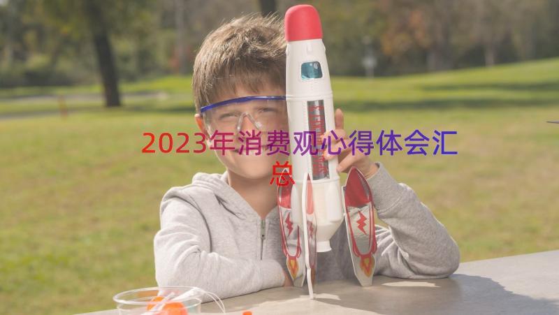 2023年消费观心得体会（汇总15篇）