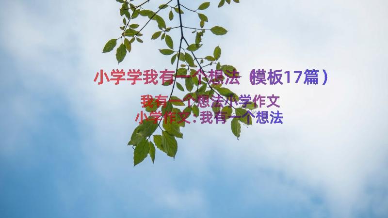 小学学我有一个想法（模板17篇）