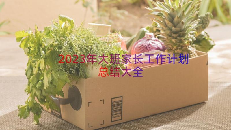 2023年大班家长工作计划总结大全（16篇）