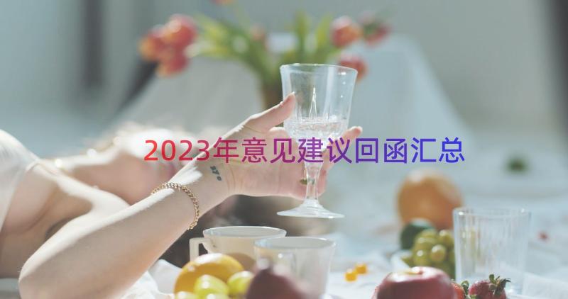 2023年意见建议回函（汇总17篇）