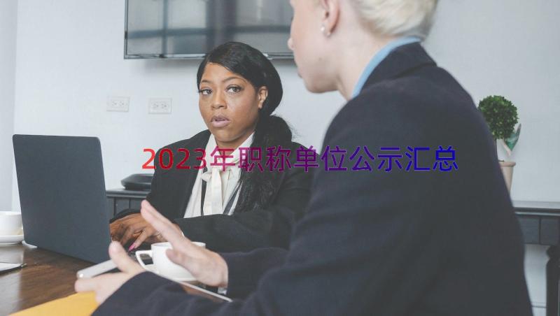 2023年职称单位公示（汇总12篇）