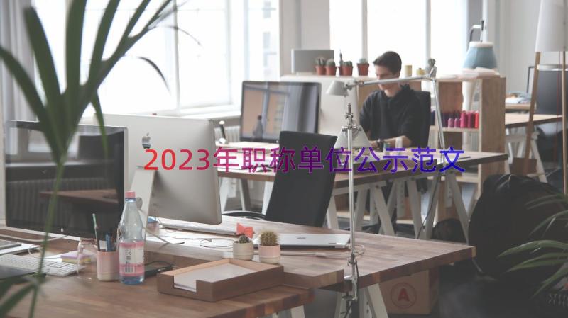 2023年职称单位公示范文（19篇）