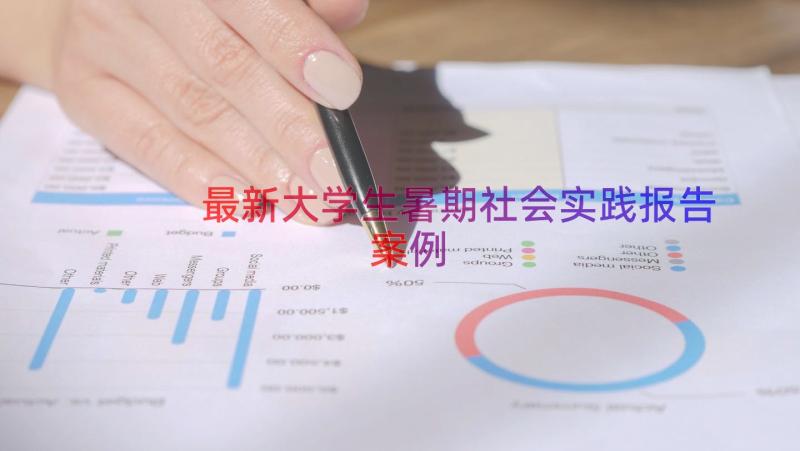 最新大学生暑期社会实践报告（案例13篇）