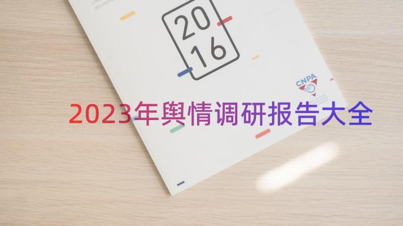 2023年舆情调研报告大全（17篇）