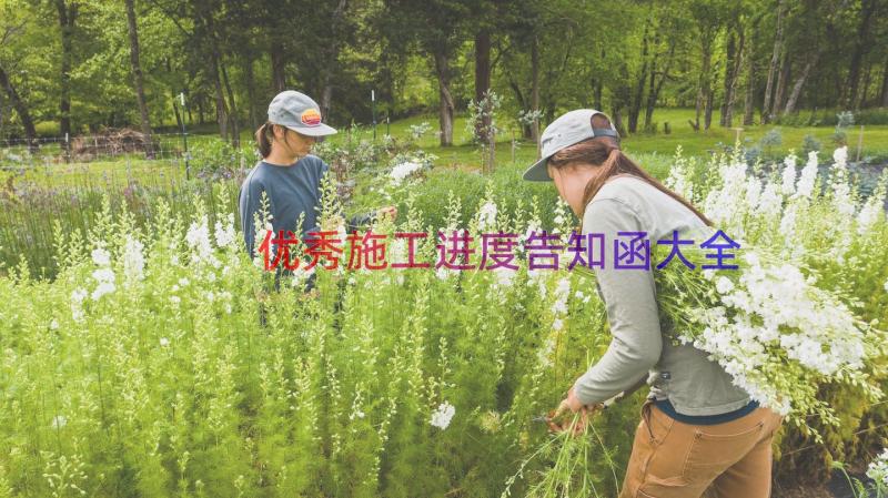 优秀施工进度告知函大全（18篇）