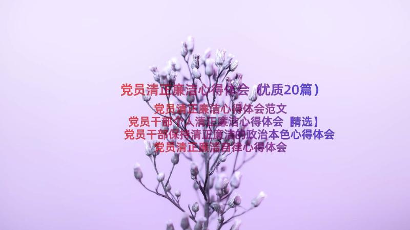 党员清正廉洁心得体会（优质20篇）