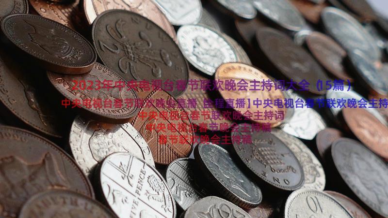 2023年中央电视台春节联欢晚会主持词大全（15篇）